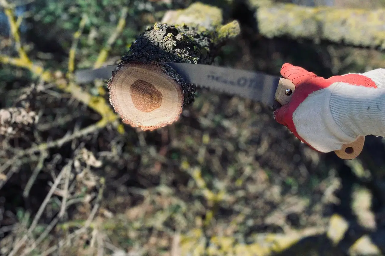 Tree work done safely